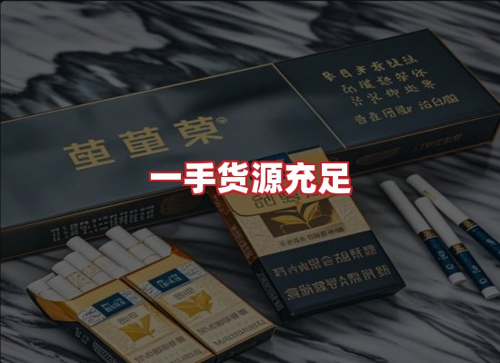 专业团队
